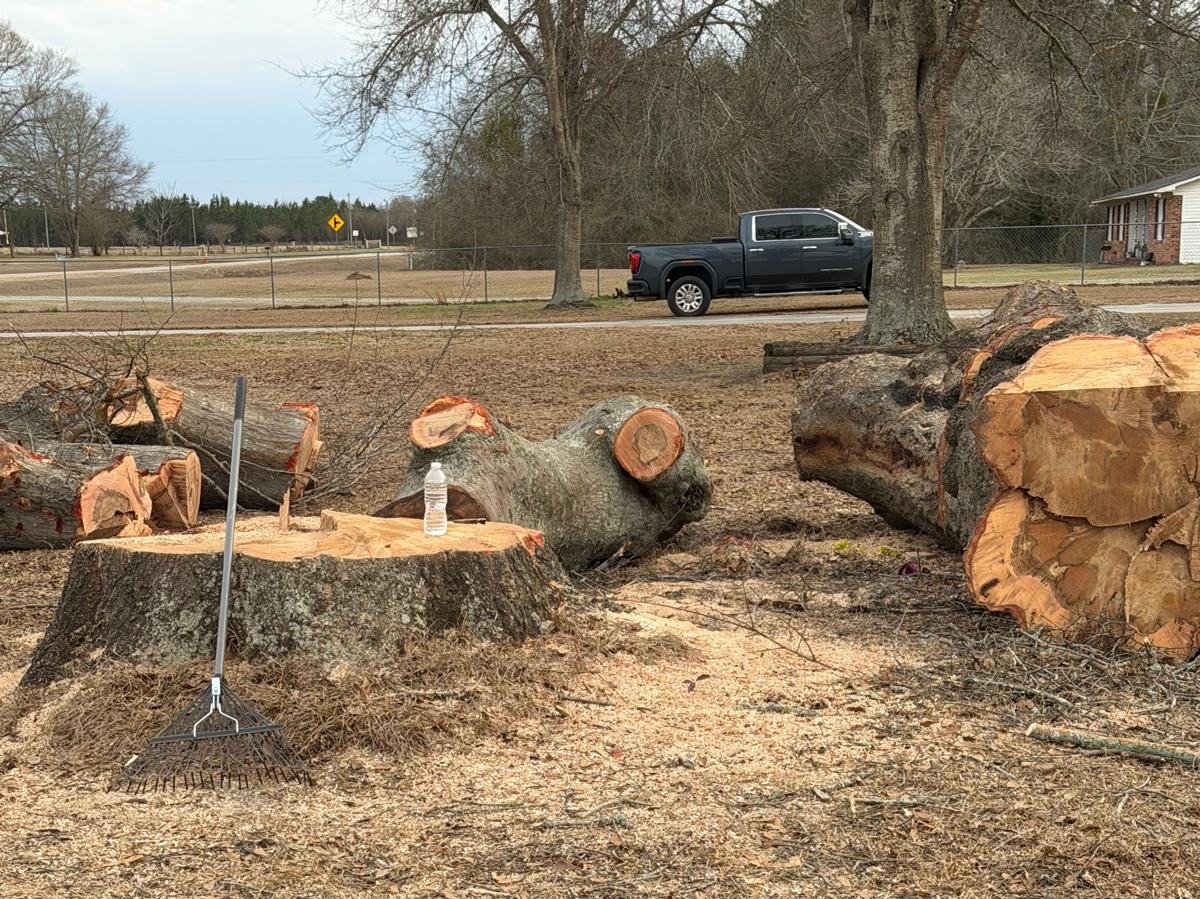 El Costeño Tree Service LLC